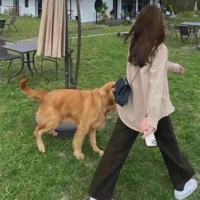 南海鲛人